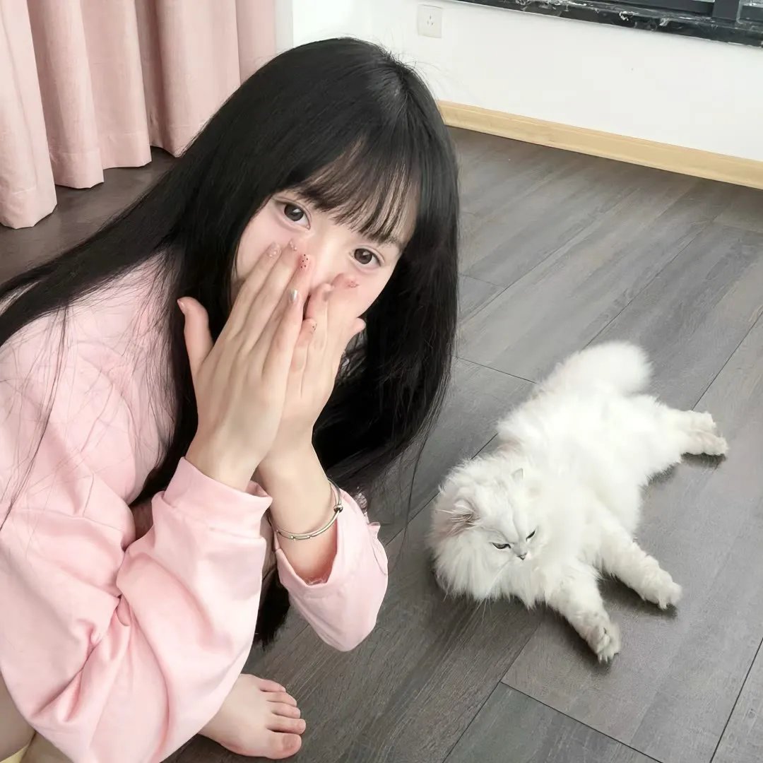 金雉鸡